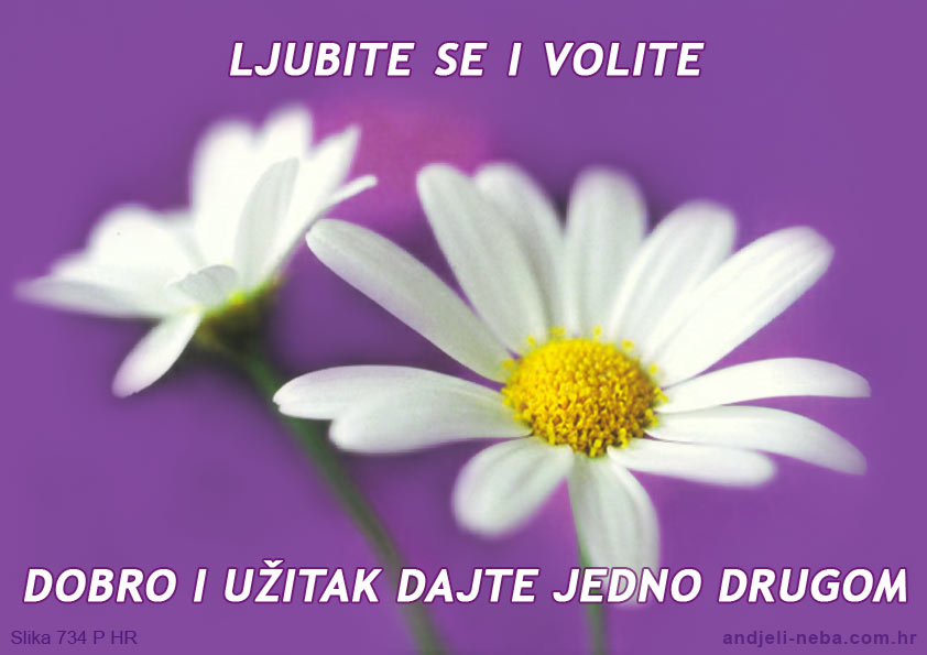 Ljubite se i volte