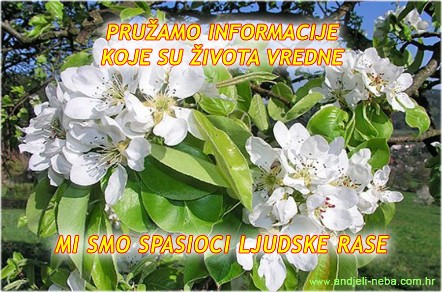 PRU�AMO INFORMACIJE KOJE SU �IVOTA VREDNE